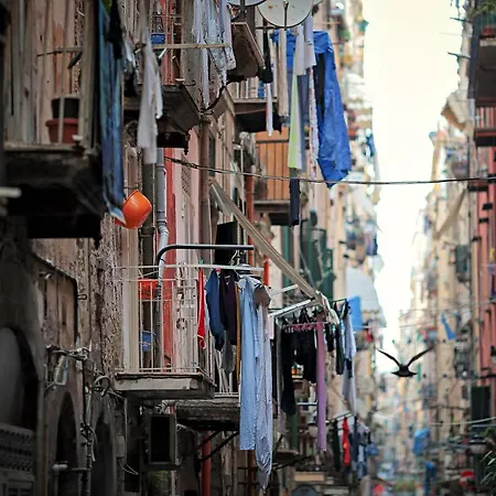 About Toledo Apartmán *